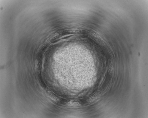 X0000088830270200706281803