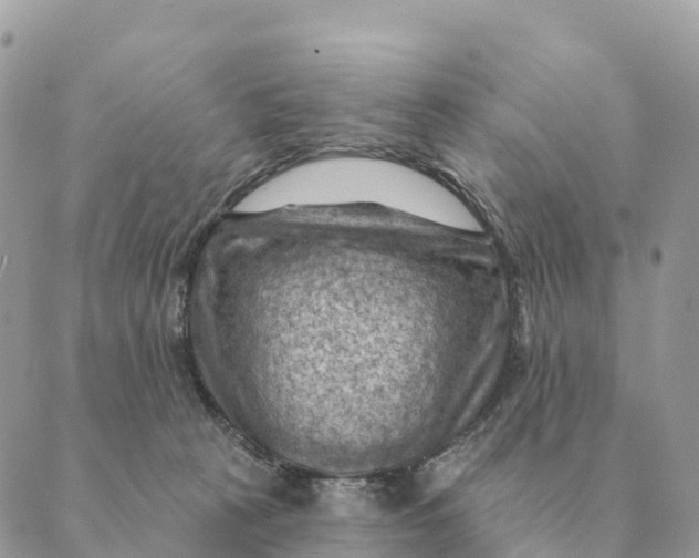 X0000088830273200706281803