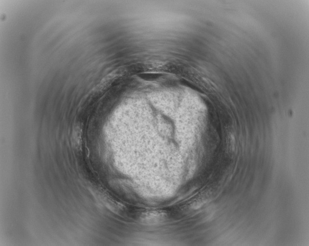 X0000088830274200706281803