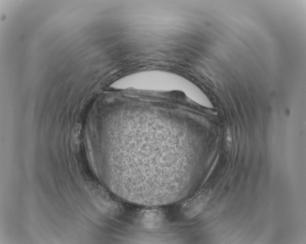 X0000088830275200706281803