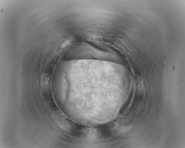 X0000088830276200706281803