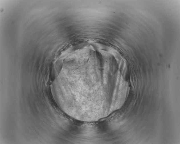 X0000088830280200706281803