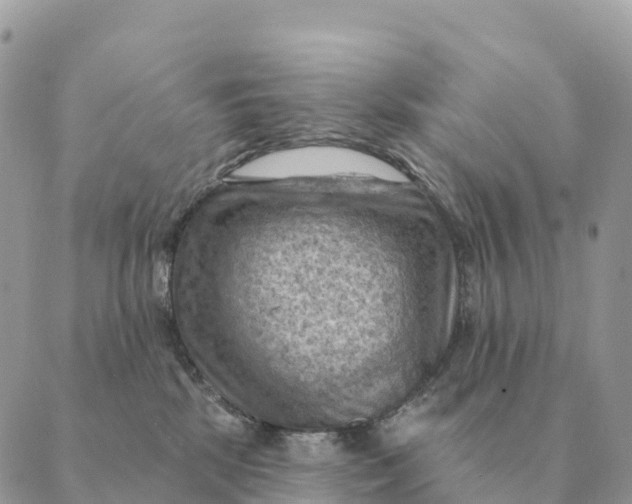 X0000088830281200706281803