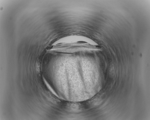 X0000088830282200706281803