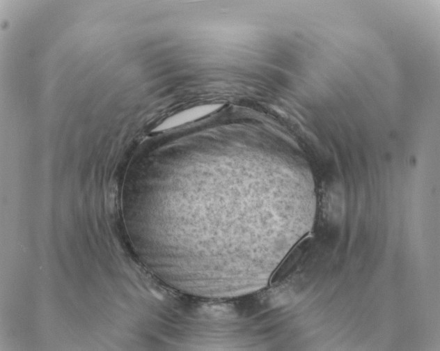 X0000088830283200706281803