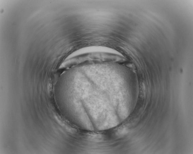 X0000088830284200706281803