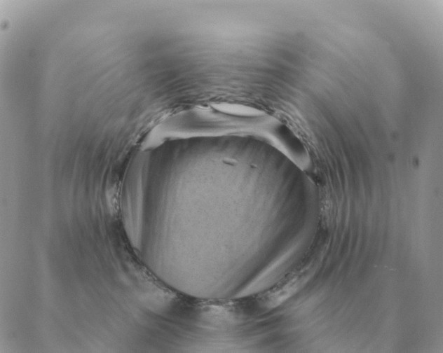 X0000088830285200706281803