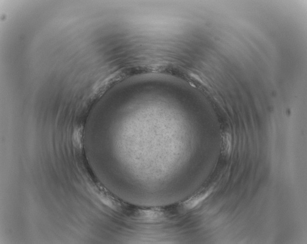 X0000088830286200706281803