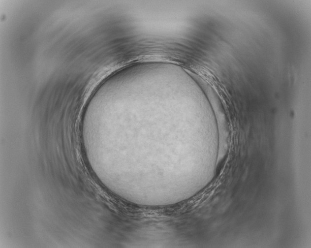 X0000088830289200706281803