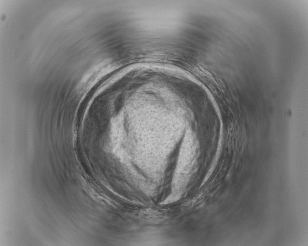 X0000088830290200706281803