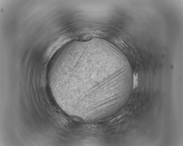 X0000088830291200706281803