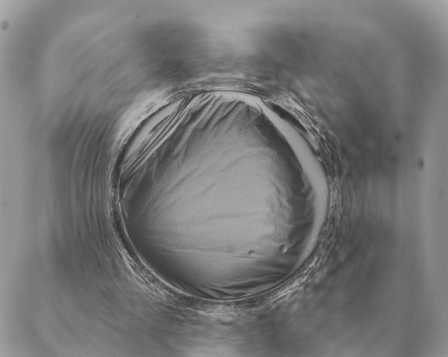 X0000088830293200706281803