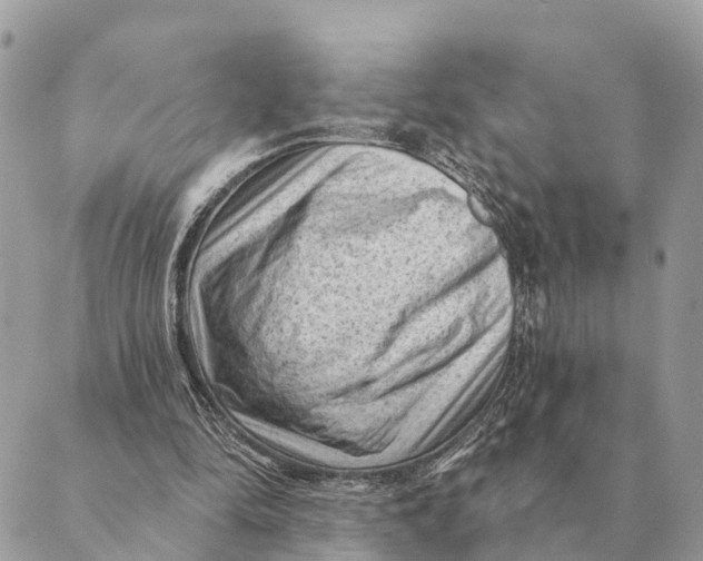 X0000088830294200706281803