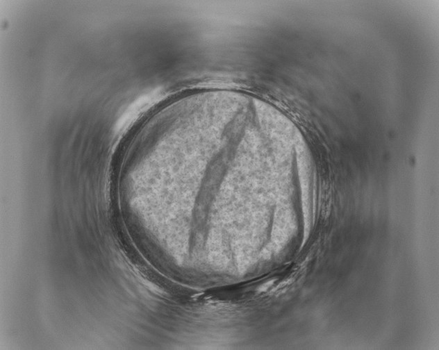 X0000088830296200706281803