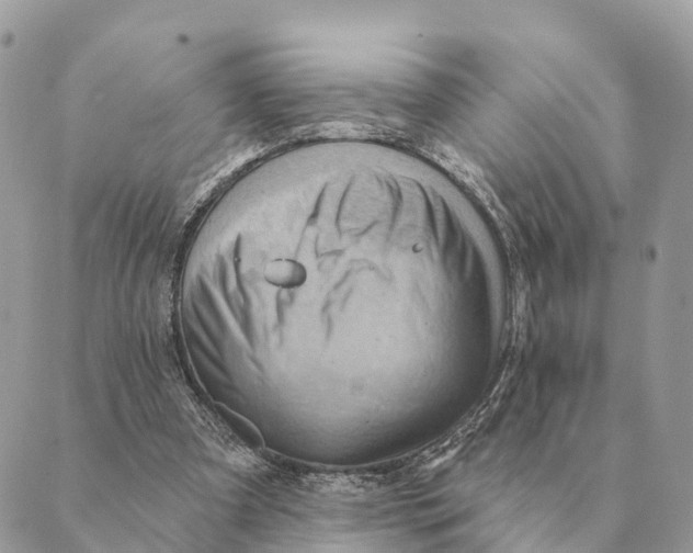 X0000088830297200706281803