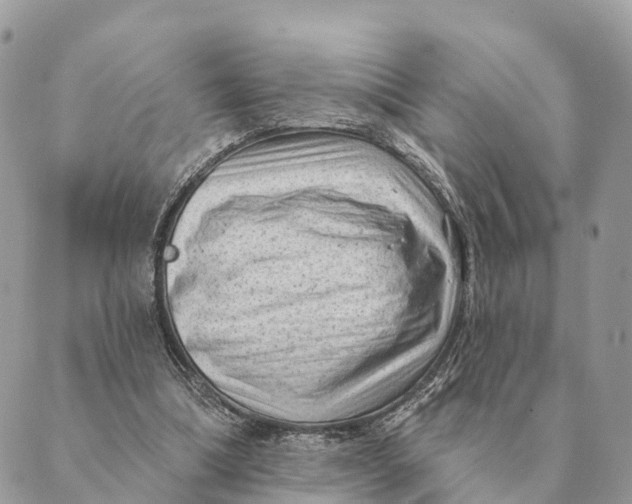 X0000088830298200706281803