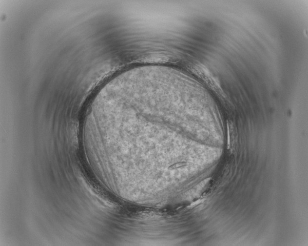 X0000088830300200706281803