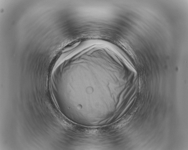 X0000088830301200706281803