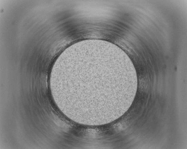 X0000088830302200706281803