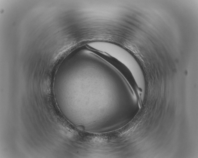 X0000088830303200706281802