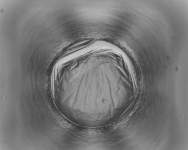 X0000088830305200706281802