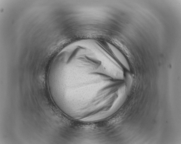 X0000088830306200706281802