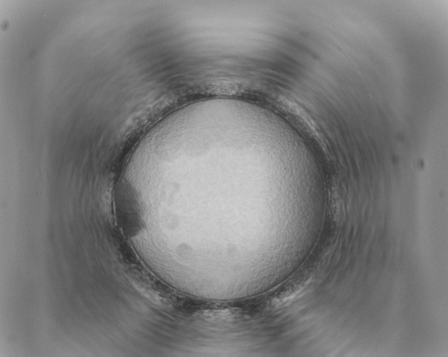 X0000088830307200706281802