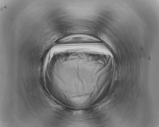 X0000088830309200706281802