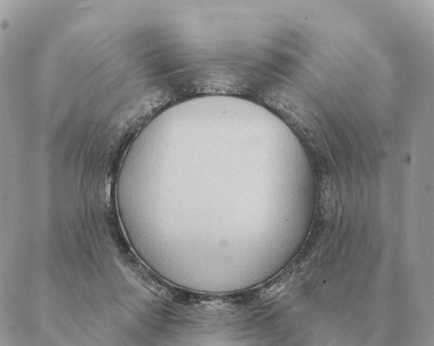 X0000088830310200706281802