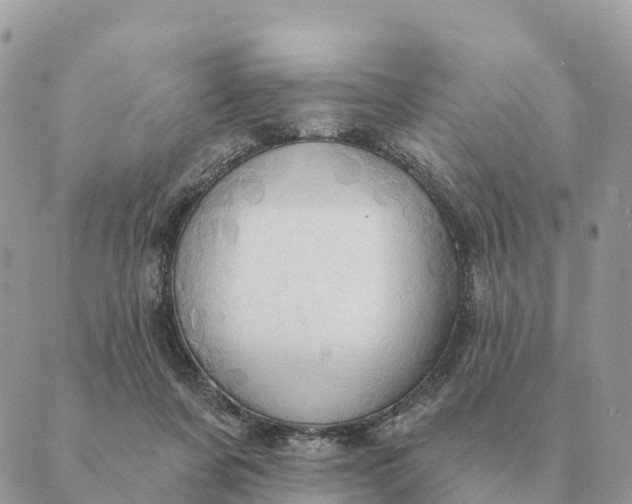 X0000088830311200706281802