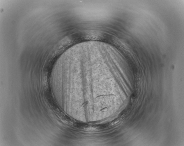 X0000088830312200706281802