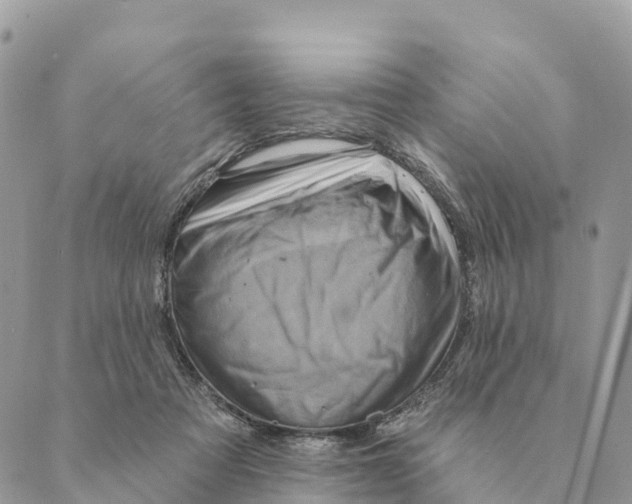 X0000088830313200706281802