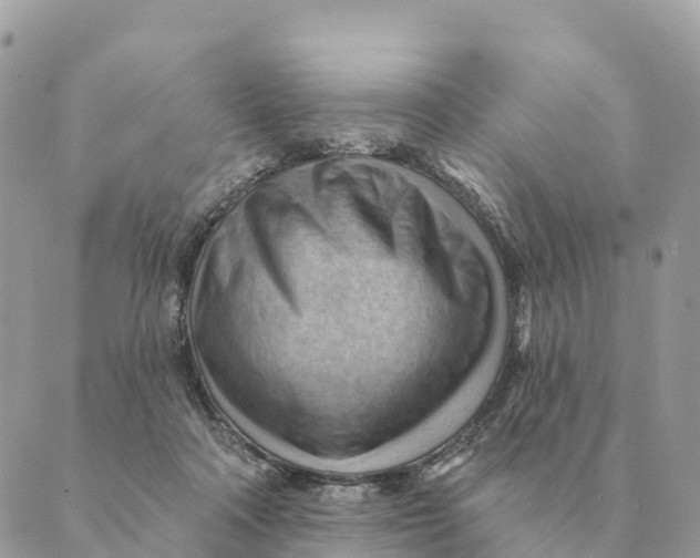 X0000088830314200706281802