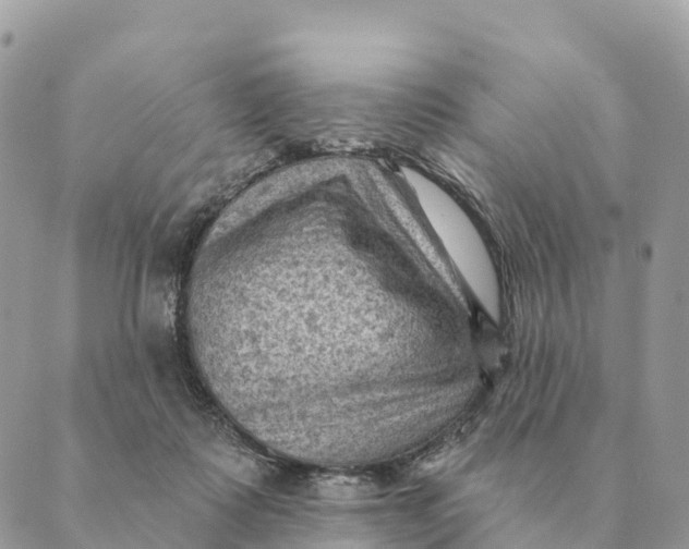 X0000088830315200706281802