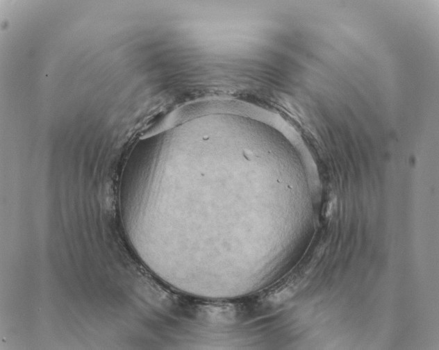 X0000088830317200706281802