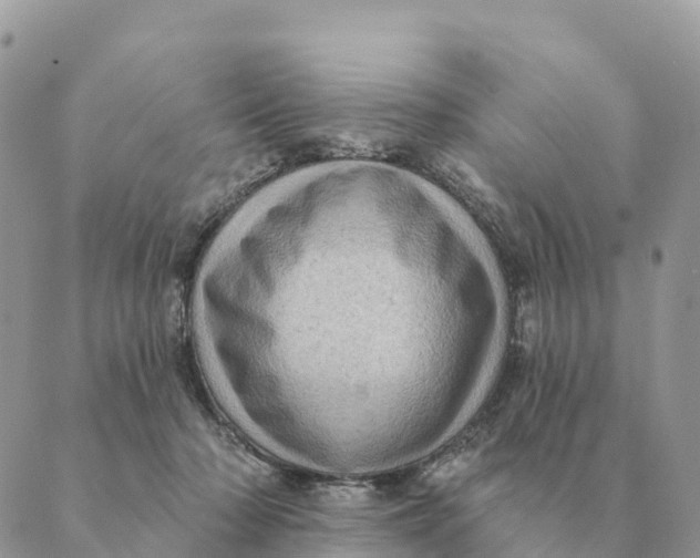 X0000088830318200706281802