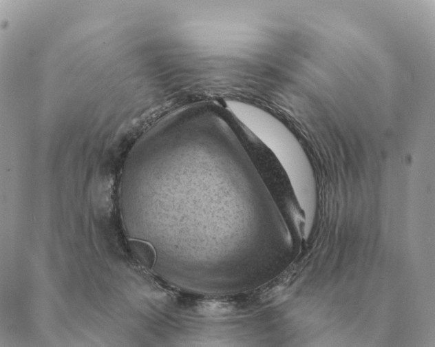 X0000088830319200706281802