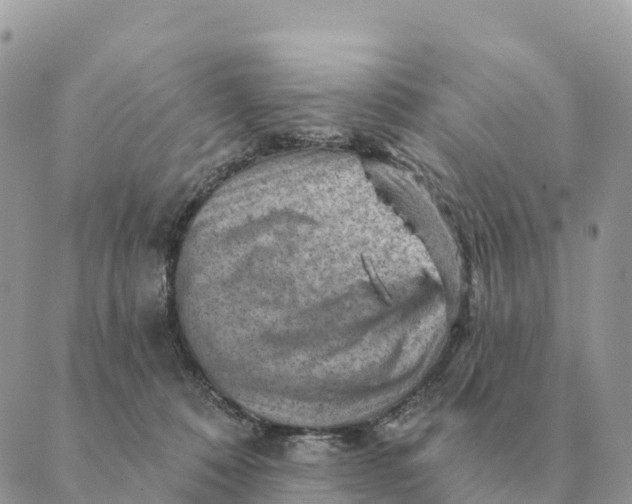 X0000088830320200706281802