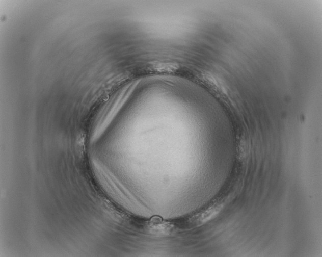 X0000088830321200706281802