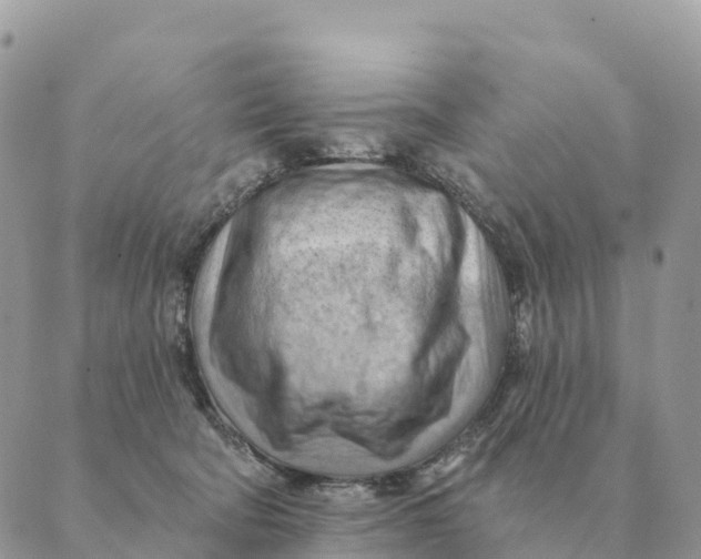 X0000088830322200706281802