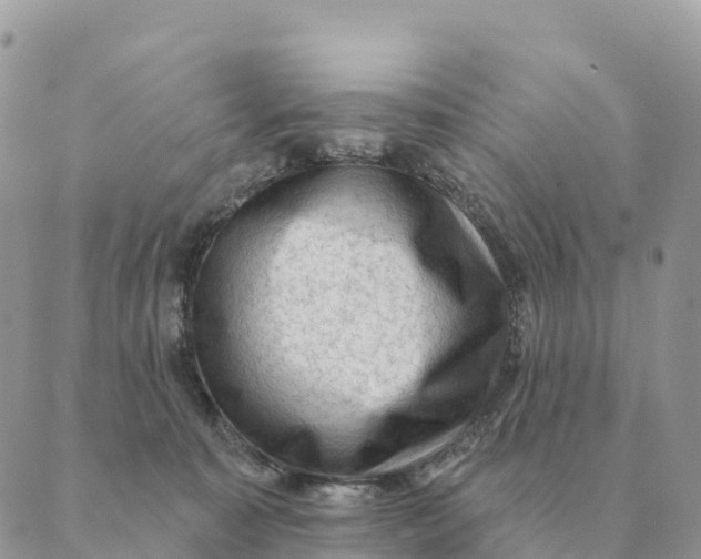 X0000088830323200706281802