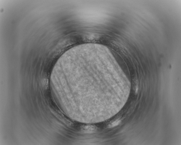 X0000088830324200706281802