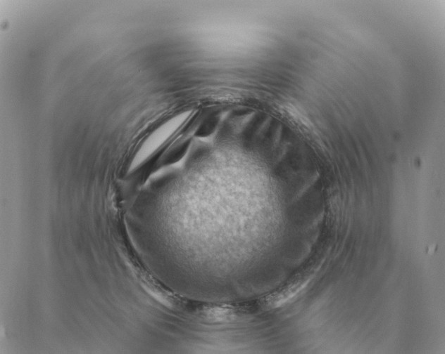 X0000088830325200706281802