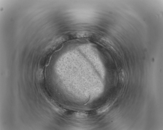 X0000088830327200706281802