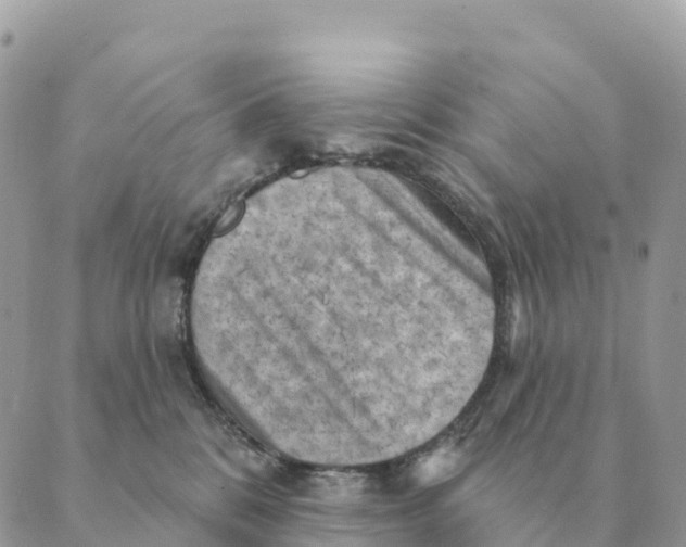 X0000088830328200706281802