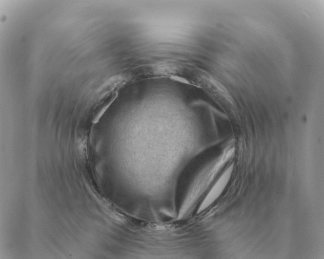 X0000088830329200706281802