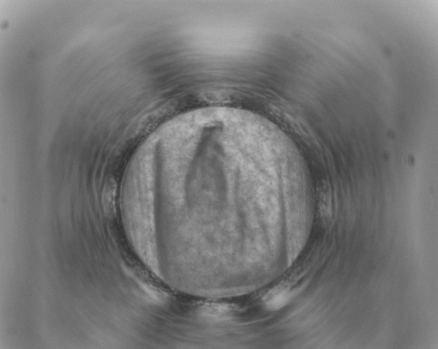 X0000088830332200706281802