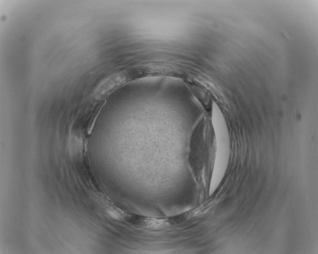 X0000088830333200706281802