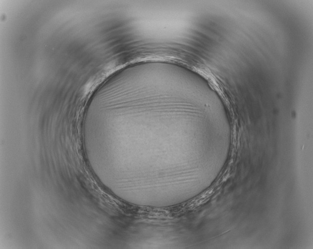 X0000088830337200706281801