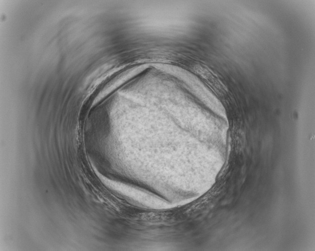 X0000088830338200706281801